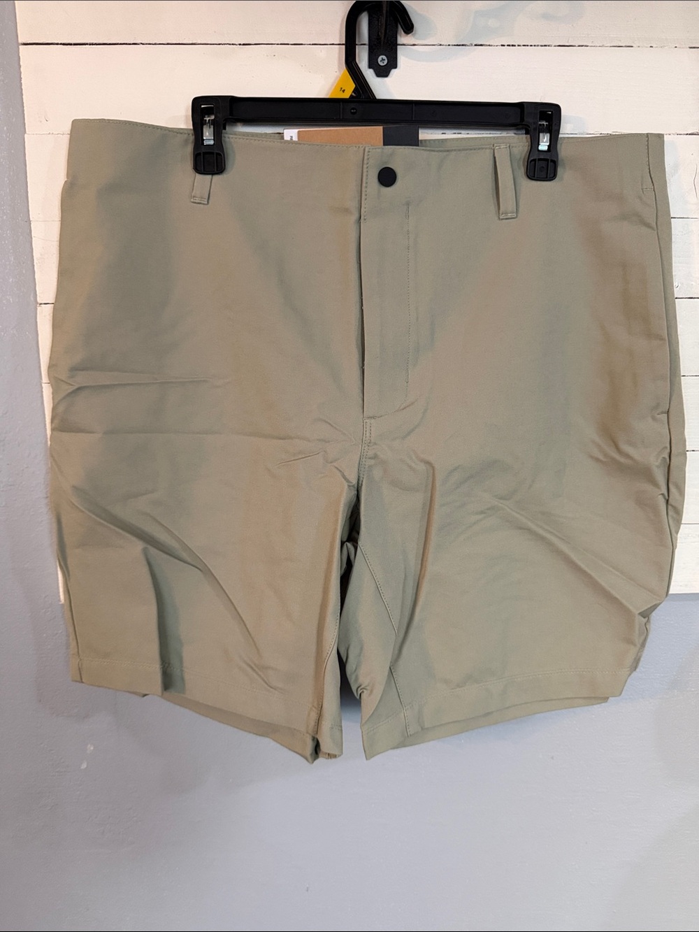 The North Face Men's Light green Flat Front Shorts